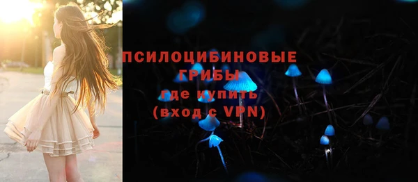 прущие грибы Бородино