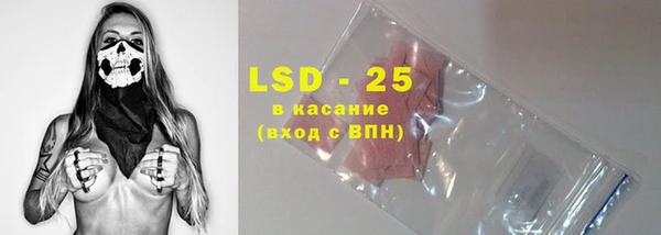 прущие грибы Бородино