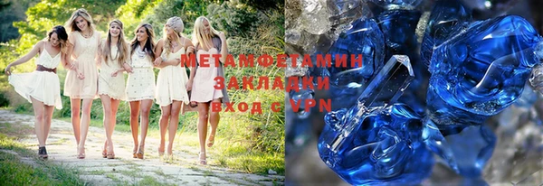 прущие грибы Бородино