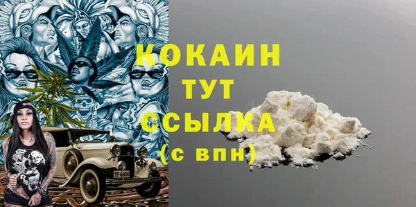 прущие грибы Бородино