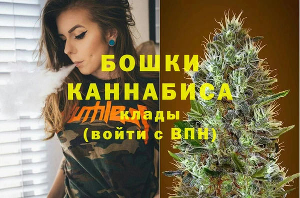 прущие грибы Бородино