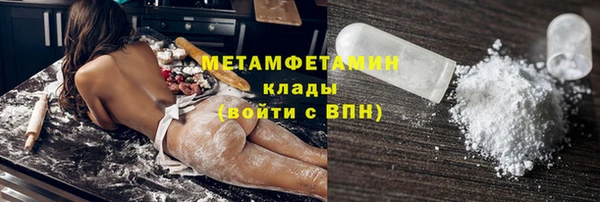 прущие грибы Бородино