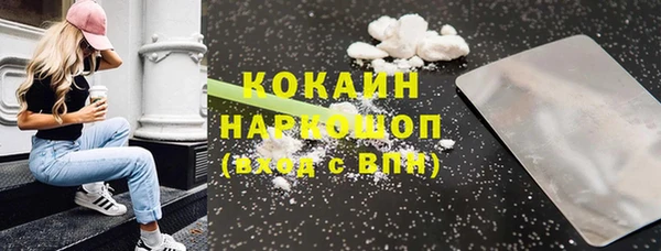 прущие грибы Бородино